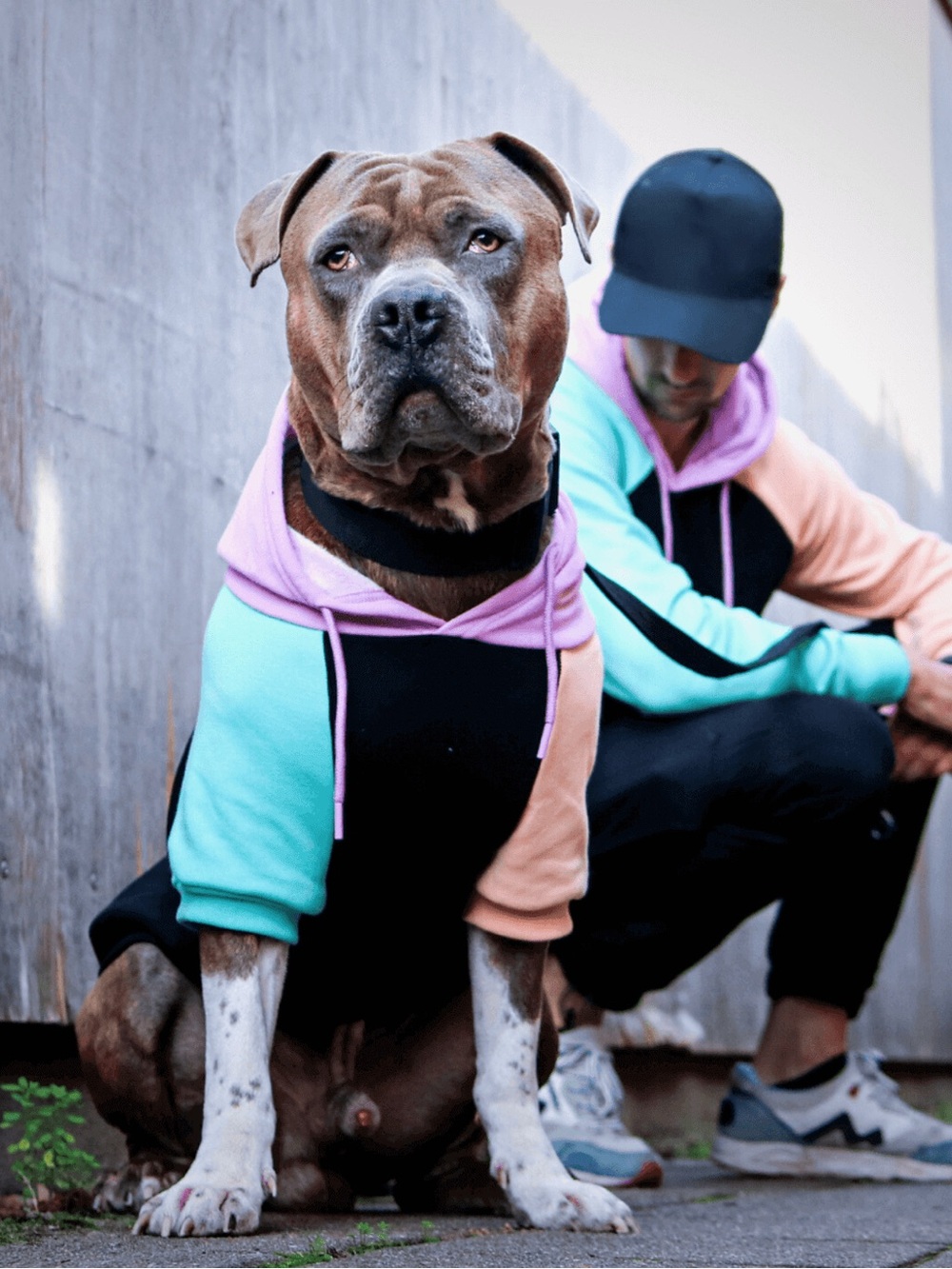 Colorblock Hoodie - Lavender, Mint & Peach Accents - Picture 7 of 7
